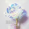 Фото профиля ℝ𝕎𝕙𝕚𝕥𝕖🦢