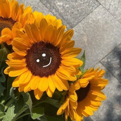 Namwisay_am16's profile picture