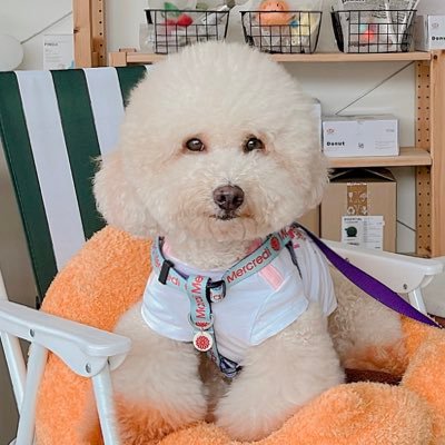 ˚f's profile picture
