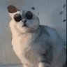 麗Sst's profile picture