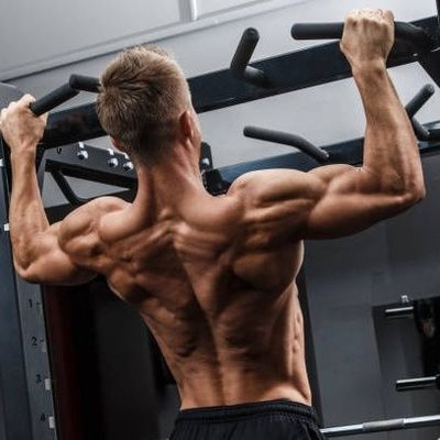 Workout guide gym's profile picture
