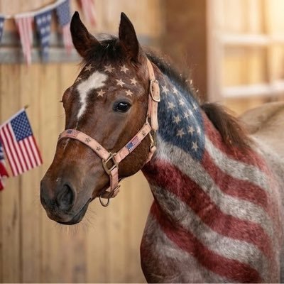 TexasMom1776's profile picture