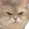 Фото профиля Catlog🐱