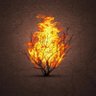 Фото профиля Burning🔥Bush