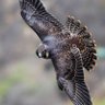 Фото профиля Nader