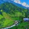 Salar Afridi 的头像