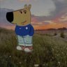 Musafiat ✨️ profil fotoğrafı