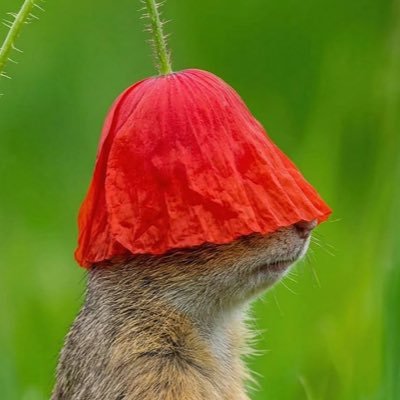 Andreas Petker's profile picture