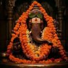 Фото профиля Abhijit