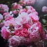 Фото профиля mariambabie