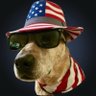 🇺🇸Indognito🇺🇸 💥🐕 profil fotoğrafı