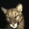 Ashjan's profile picture