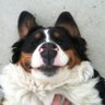 Gatz's profile picture
