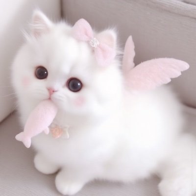 daji2277's profile picture