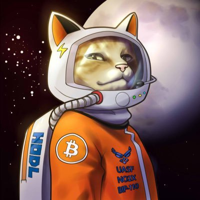 hodlonaut #BIP-110's profile picture