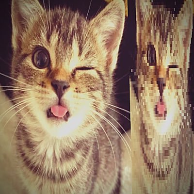 ْ's profile picture