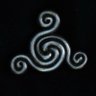 spiral💀🧼's profile picture