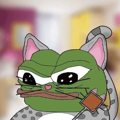 fachocat's profile picture
