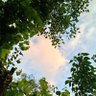 Cuwan profil fotoğrafı