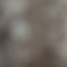 khazan profil fotoğrafı