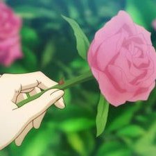 allsaaher's profile picture