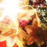 Profilbild von -