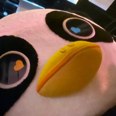 __ttwrt's profile picture
