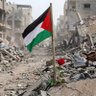 Фото профиля P.L.S 🇵🇸