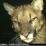 Menta128's profile picture