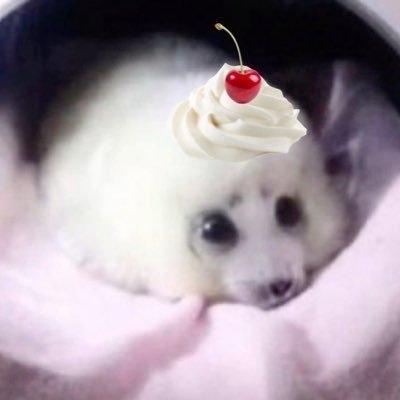 mrsmagicoo's profile picture