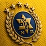 Profilbild von מכביסט