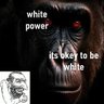 poldek 73's profile picture