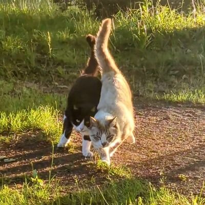 ニートの日常@15y's profile picture