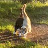ニートの日常@15y profil fotoğrafı