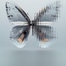 Фото профиля thariqs
