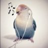 fão de porma's profile picture