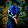 Фото профиля Peacock