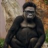 ｱｷﾋ公's profile picture