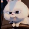 sena's profile picture