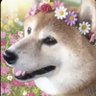 あきもつ's profile picture