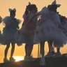 Фото профиля くろろ