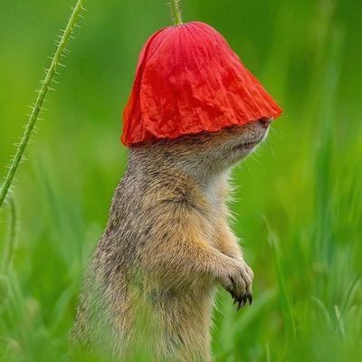 moondroppss_'s profile picture