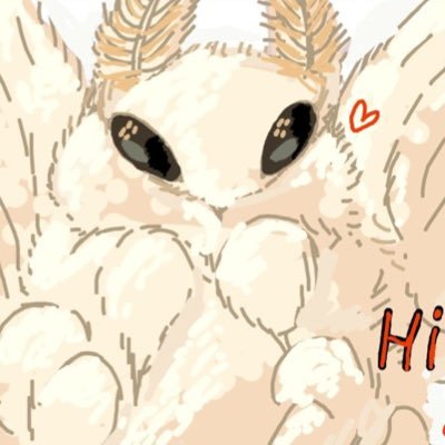 motheinsect's profile picture