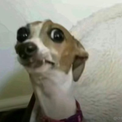 RuffRydaz_'s profile picture