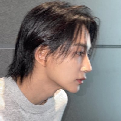 shinessvt's profile picture