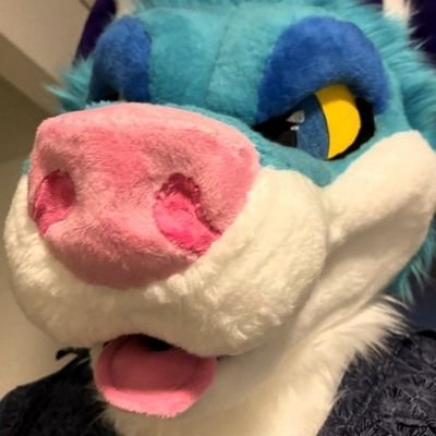 ADFlippyLion's profile picture