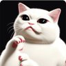 Cool Cat's profile picture