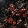 ユウスケ ジオンが誇る真紅の稲妻⚡10/27日誕生日☄️💍 profil fotoğrafı