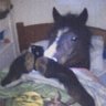 lsy profil fotoğrafı