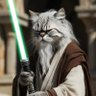 Jedi Cat🐈©® profil fotoğrafı